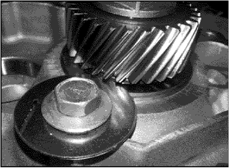 520065657_graphic-text24F